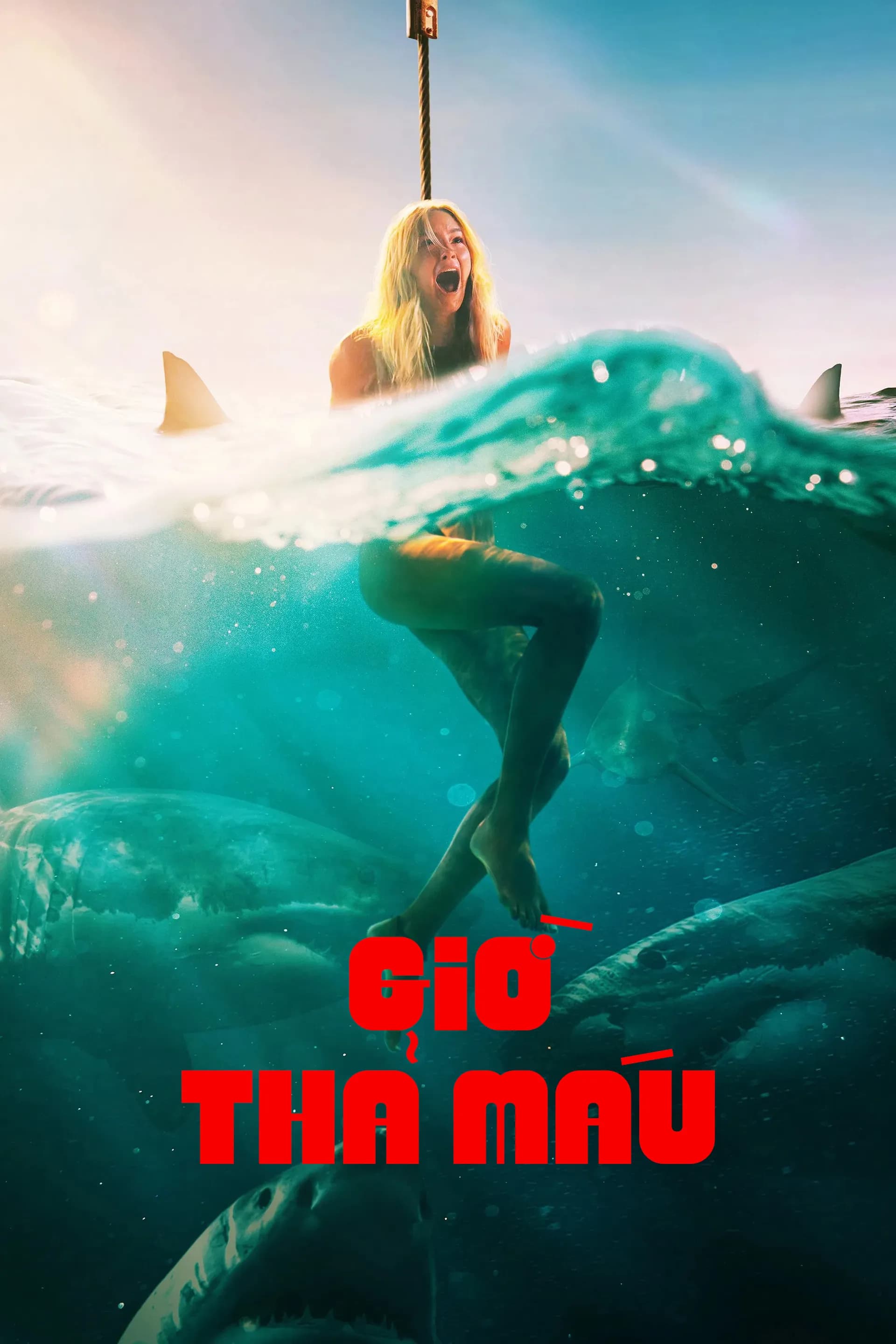Giờ Thả Máu